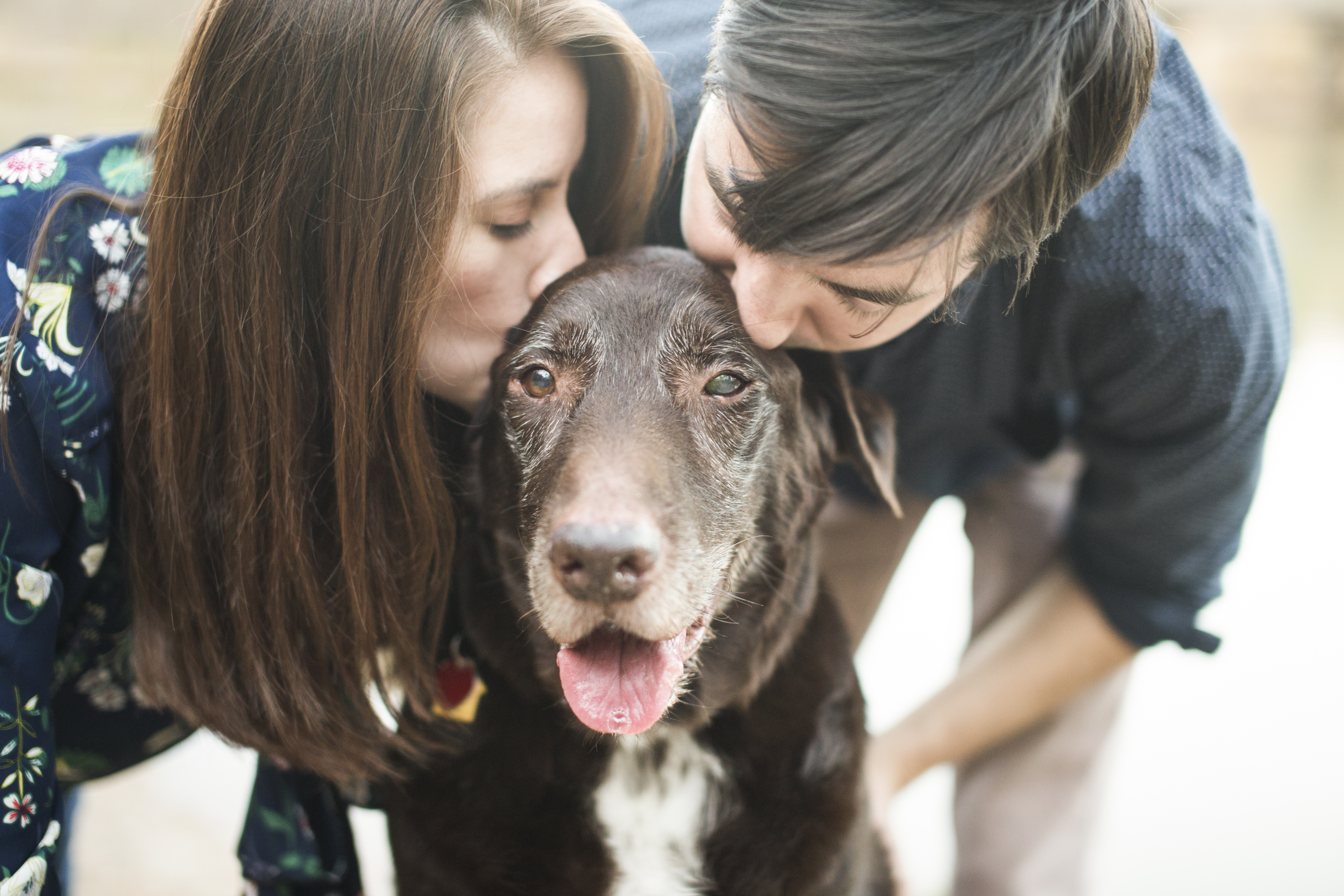 Moose family with dog