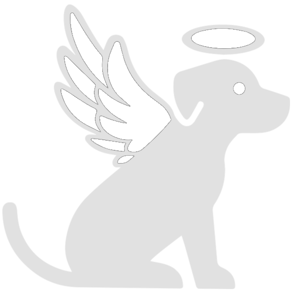 angeldog5